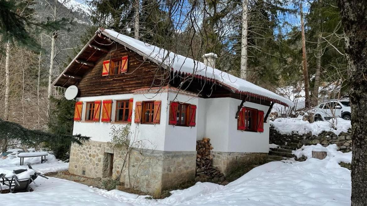 Chalet Le Tyrolien, Au Coeur Du Boreon Saint-Martin-Vésubie المظهر الخارجي الصورة
