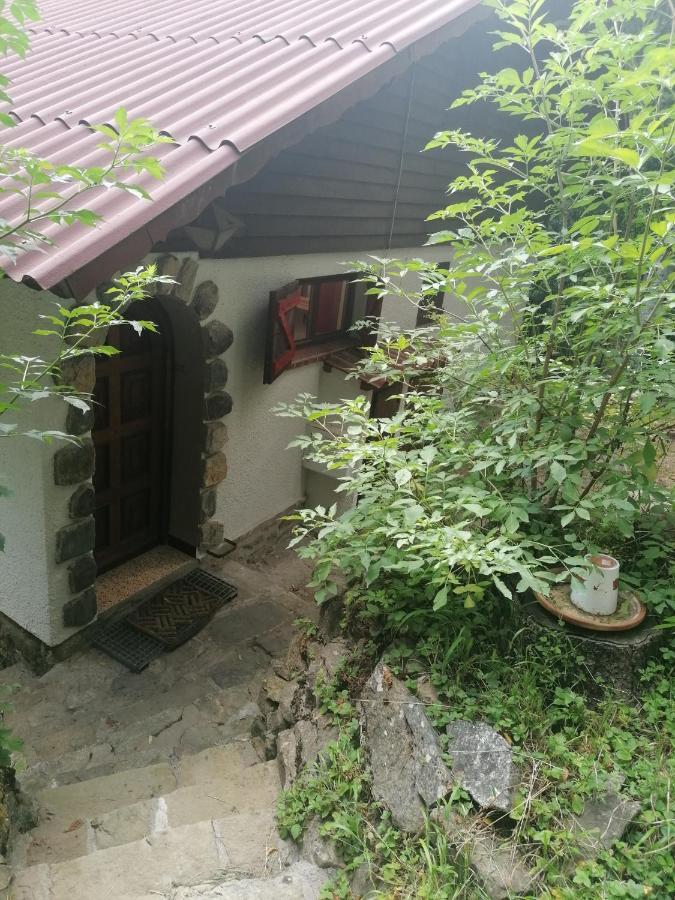 Chalet Le Tyrolien, Au Coeur Du Boreon Saint-Martin-Vésubie المظهر الخارجي الصورة