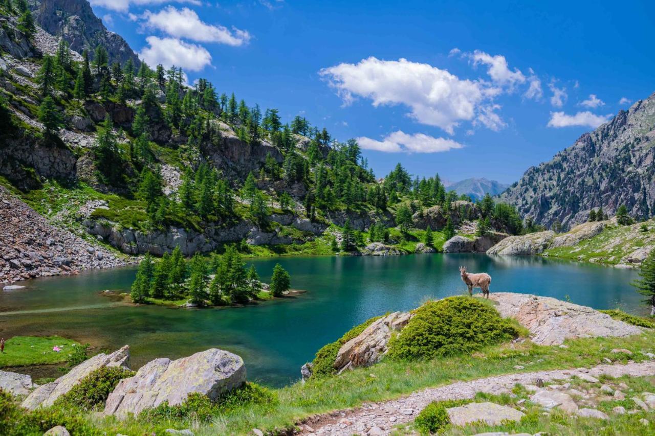 Chalet Le Tyrolien, Au Coeur Du Boreon Saint-Martin-Vésubie المظهر الخارجي الصورة